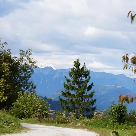 Casa de hóspedes Beli Kamen Vojsko