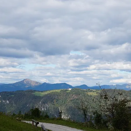 Beli Kamen Gasthof Vojsko