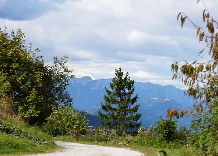 ゲストハウス Beli Kamen Vojsko