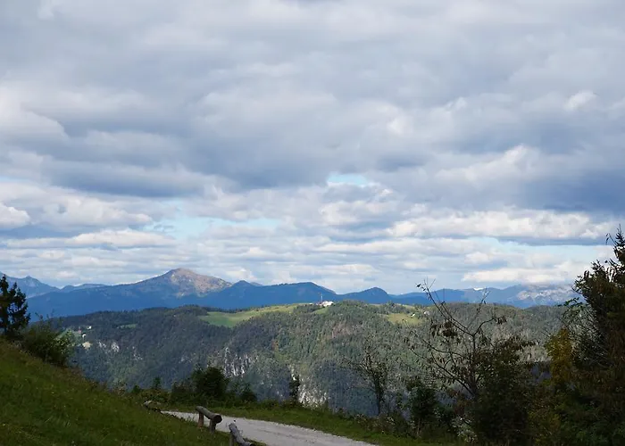 Beli Kamen ゲストハウス Vojsko